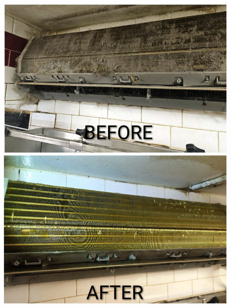 Dog Grooming Salon – Wall-Mounted Unit Cleaning — Before & After Evaporator Coil Cleaning